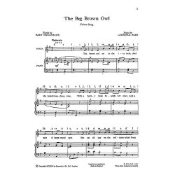 Ager, L The Big Brown Owl Unison
