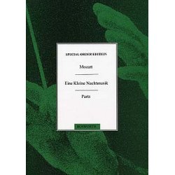 W.A. Mozart: Eine Kleine Nachtmusik K.525 - First Movement (Recorder Ensemble Parts)