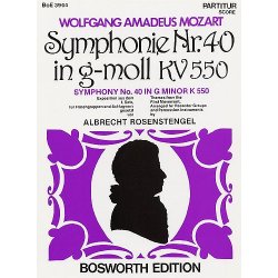 W.A. Mozart: Symphony In G Minor No.40 (1st Movement)