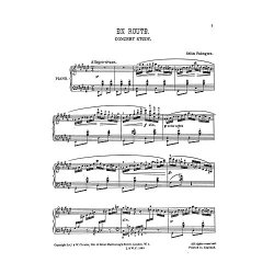 Palmgren: En Route - A Concert Study for Piano