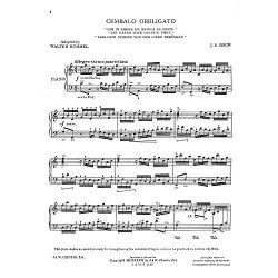 J.S.Bach/Walter Rummel: Let Never Love Deceive Thee [Cembalo Obbligato]