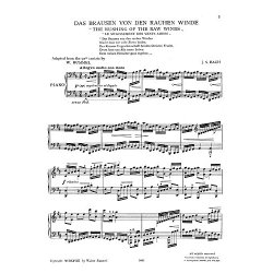 J.S.Bach/Walter Rummel: The Rushing Of The Raw Winds