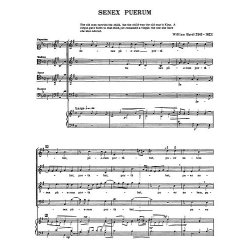 Byrd, W Senex Puerum Satb (From Chester Motet Book 2-english)