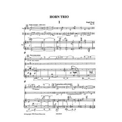 Hugh Wood: Horn Trio Op.29 (Score/Parts)