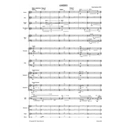 Kaija Saariaho: Amers