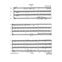Robert Saxton: Fantazia For String Quartet (Score And Parts)