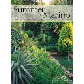 Summer In Marino