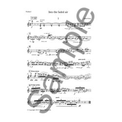 Helen Grime: Into The Faded Air (Parts)