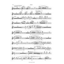 MASKARADE - CANZONE PARODICA (3.AKT.)