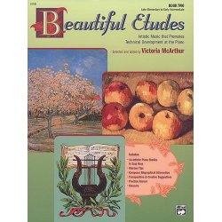 Palmer-Hughes Accordion Course - Book 2