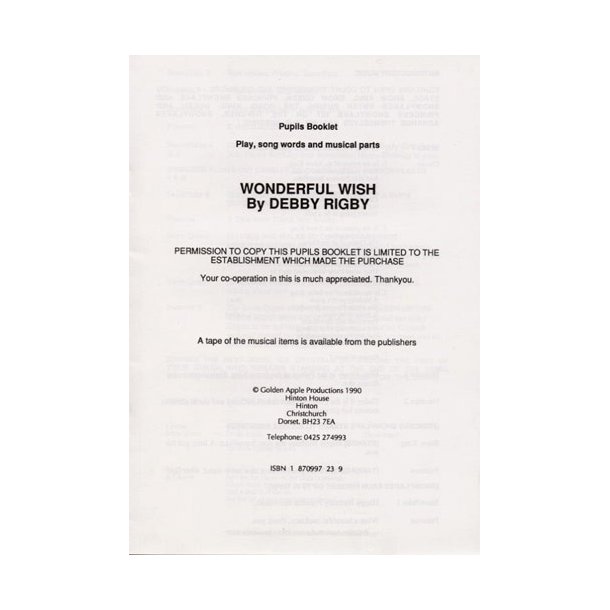 Debby Rigby: Wonderful Wish (Pupil's Book)