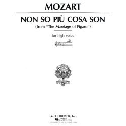 W.A. Mozart: Non So Piu Cosa Son (Le Nozze Di Figaro)