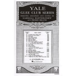 Sometimes I Feel Like A Motherless Child (TTBB)