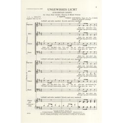 Robert Schumann: Ungewisses Licht Op.141 No.2