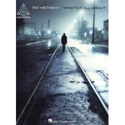 Pat Metheny: What's It All About