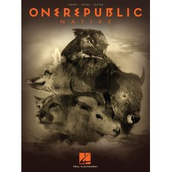 OneRepublic: Native (PVG)