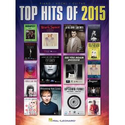 Top Hits Of 2015 (PVG)