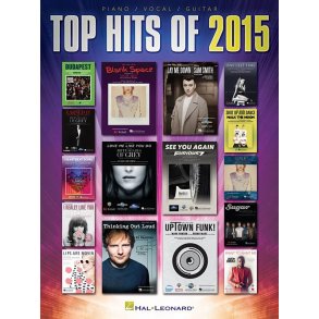 Top Hits Of 2015 (PVG)