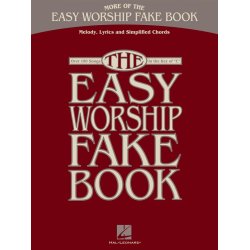 MORE OF THE EASY WORSHIP FAKE BOOK LYRICS CHORDS BK