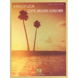 Kings Of Leon: Come Around Sundown