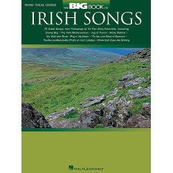 The Big Book Of Irish Songs