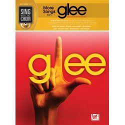 Sing With The Choir Volume 17: More Songs From Glee
