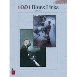 1001 Blues Licks