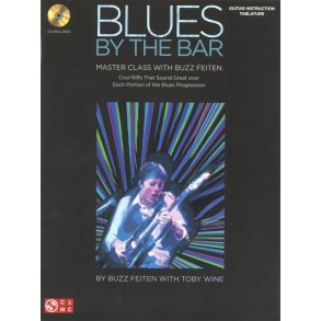 Buzz Feiten: Blues By The Bar - Master Class