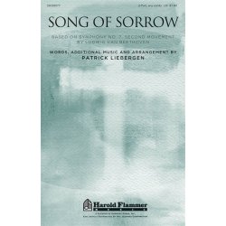 Liebergen Song Of Sorrow Based On Beethoven 2 Part Choral