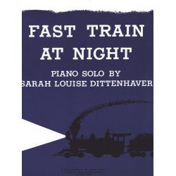 Fast Train at Night