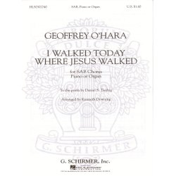 I Walked Today Where Jesus Walked Piano Or Organ Acc