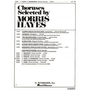 Sloth  Rhinoceros  Menagerie Of Songs