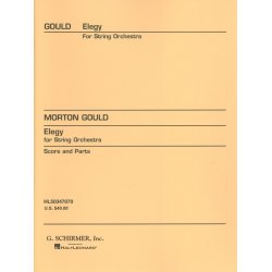 Elegy for String Orchestra