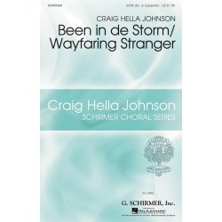 Craig Hella Johnson: Been In De Storm/Wayfaring Stranger