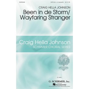 Craig Hella Johnson: Been In De Storm/Wayfaring Stranger