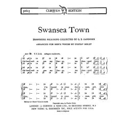 Holst Swansea Town Ttbb Tonic