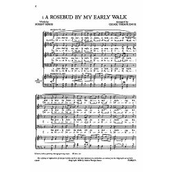 A Rosebud By My Early Walk