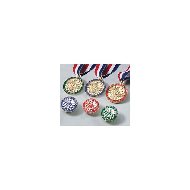 Stan Of Exc Bk3 Award Medal