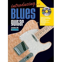 Introducing Blues Gtr Bk/Cd