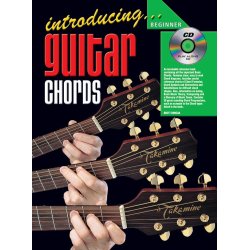 Introducing Gtr Chords Gtr Bk/Cd