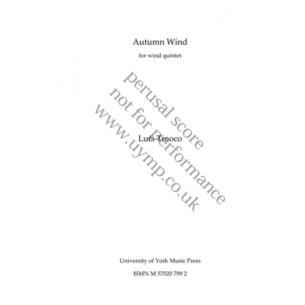 Lu&iacute;s Tinoco: Autumn Wind