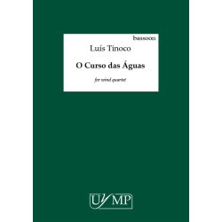 Lus Tinoco: O Curso das guas (The Drift of the Waters)
