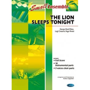 The Lion Sleeps Tonight (From The Lion King)