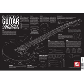 Electric Guitar Anatomy And Mechanics Wall Chart