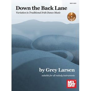 Down The Back Lane: Variation In Traditional Irish Dance Music