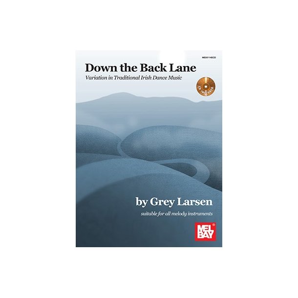 Down The Back Lane: Variation In Traditional Irish Dance Music