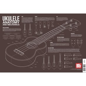 Charlie Lee-Georgescu: Ukulele Anatomy and Mechanics Wall Chart