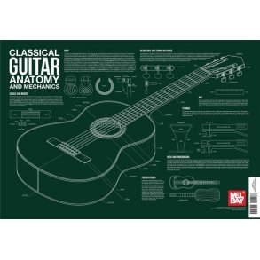 Classical Guitar Anatomy And Mechanics Wall Chart