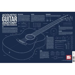 Acoustic Guitar Anatomy And Mechanics Wall Chart