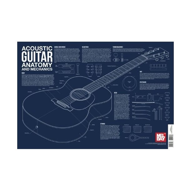 Acoustic Guitar Anatomy And Mechanics Wall Chart